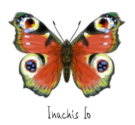Butterfly Inachis Io. Watercolor imitation.のイラスト素材