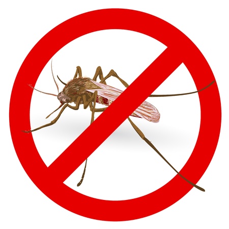 Stop mosquito signのイラスト素材
