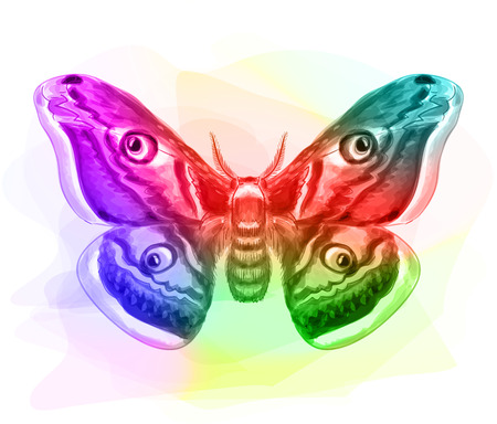 Butterfly. Iridescen colours. Vector illustration.のイラスト素材