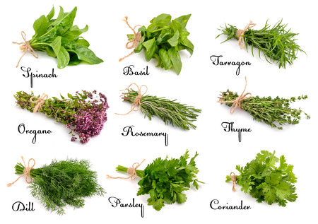 Collection of cooking herbs and spices. Isolated on white background. Collection of cooking herbs and spices. Isolated on white background.