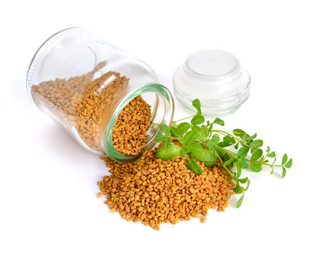 Fenugreek seed with sprout. (Trigonella foenum-graecum)の写真素材
