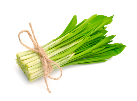 Allium ursinum  known as ramsons, buckrams, wild garlic, broad-leaved garlic, wood garlic, bear leek, or bear's garlic. Isolated.の写真素材