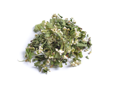 Dried medicinal herbs raw materials isolated on white. Flower Crataegus, commonly called hawthorn, thornapple, May-tree, whitethorn, or hawberryの写真素材