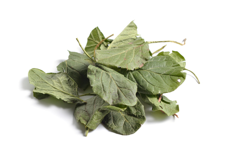 Dried medicinal herbs raw materials isolated on white. Leaves of Pyrola or wintergreen
