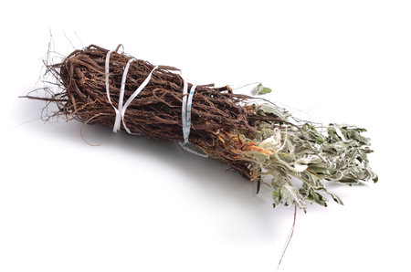 Dried medicinal herbs raw materials isolated on white. Potentilla alba.の写真素材