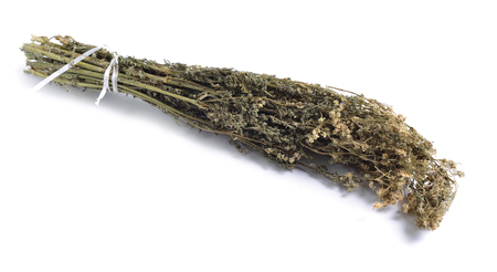 Dried medicinal herbs raw materials isolated on white. Conium maculatum, the hemlock or poison hemlock.の写真素材