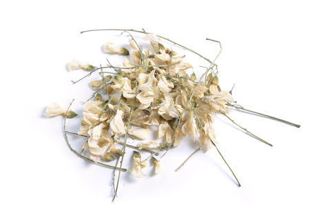 Dried medicinal herbs raw materials isolated on white. Flowers Robinia pseudoacacia, commonly known as black locustの写真素材