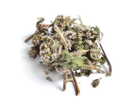 Dried medicinal herbs raw materials isolated on white. Leonurus.の写真素材