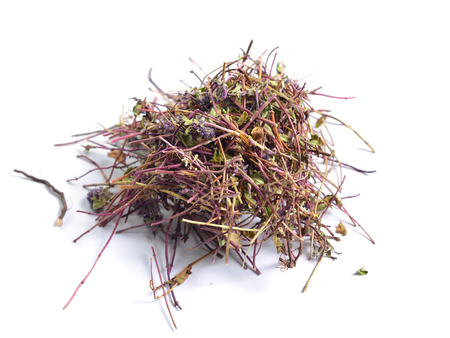Dried medicinal herbs raw materials isolated on white. Thymus.の写真素材