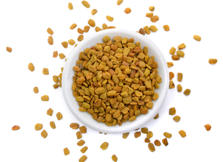 Fenugreek seed with sprout. Trigonella foenum-graecum isolated.の写真素材