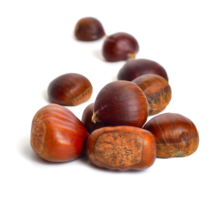 Castanea sativa, or sweet chestnut fruit. Isolated on white background.の写真素材