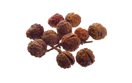 Sichuan pepper, Sichuan peppercorn, Szechuan pepper or Szechuan peppercorn isolated on white background. Full depth of field.の写真素材