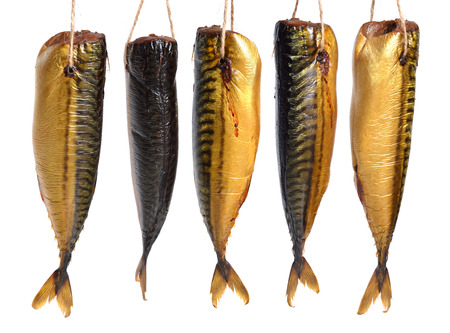 Smoked Scomber fish isolated on white backgroundの写真素材
