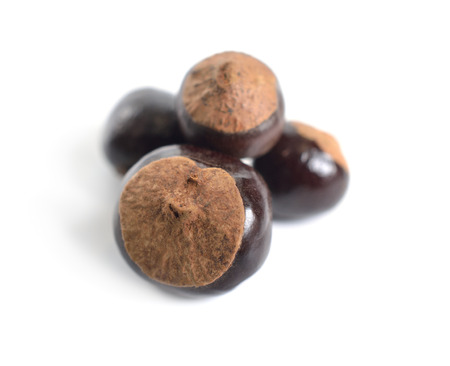 Guarana seed Paullinia cupana. Isolated on white background.の写真素材