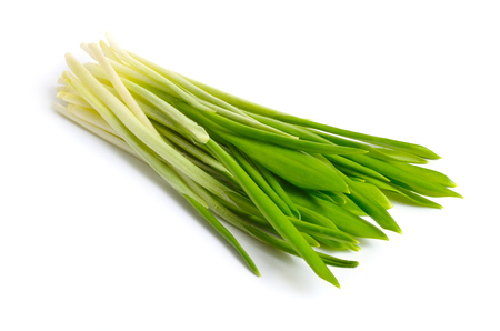 Allium ursinum, known as wild garlic, ramsons, buckrams, broad-leaved garlic, wood garlic, bear leek or bear's garlic. Isolated on white background.の写真素材