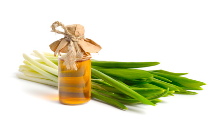 Allium ursinum, known as wild garlic, ramsons, buckrams, broad-leaved garlic, wood garlic, bear leek or bear's garlic. Isolated on white background.の写真素材