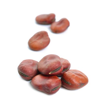 Seed of Vicia faba, broad bean, fava bean, or faba bean, field bean, tic bean or tick bean. Isolated on white backgroundの写真素材
