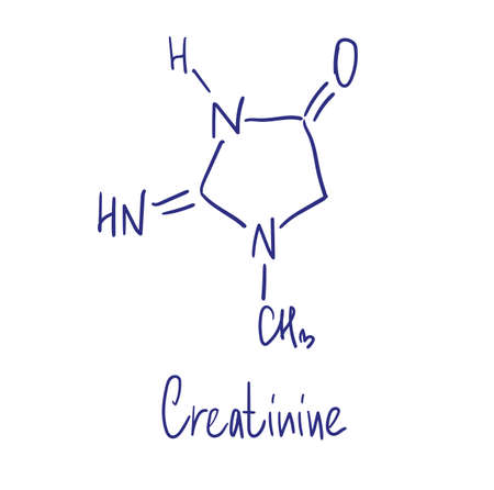 Creatinine chemical structure. Vector illustration Hand drawn.のイラスト素材