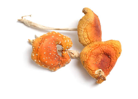 Dried Amanita muscaria, commonly known as the fly agaric or fly amanita. Isolated on white backgroundの写真素材