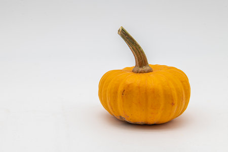Mini pumpkin isolated on a white background.の写真素材