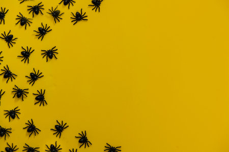 Small spiders in a yellow background shot from above.