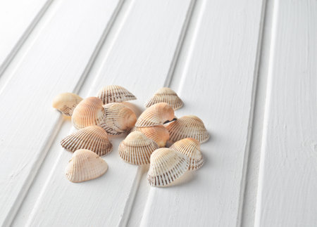 Shells on a white wooden surface. Beach concept.の写真素材