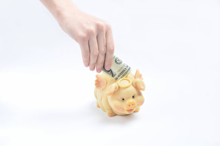 Hand puts a dollar bill in a piggy bank on a white background