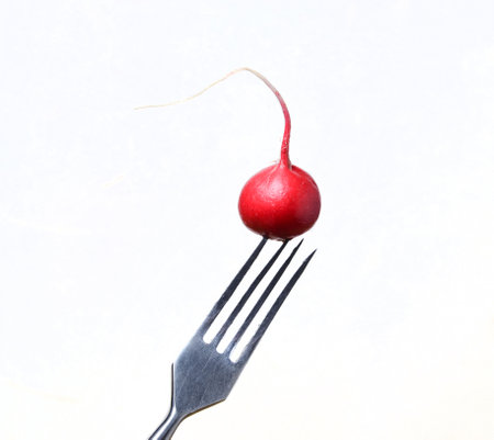 Radish on a metal forkの写真素材
