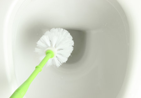 Ruff for cleaning toilet in the toilet bowlの写真素材