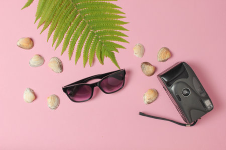 Retro camera, fern leaf, seashells, sunglasses on pink pastel background. The concept of travel, tourism, beach resort. Top Viewの写真素材