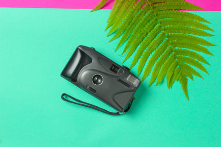 Retro camera, fern leaf on a colored pastel background. The concept of travel, tourism, beach...