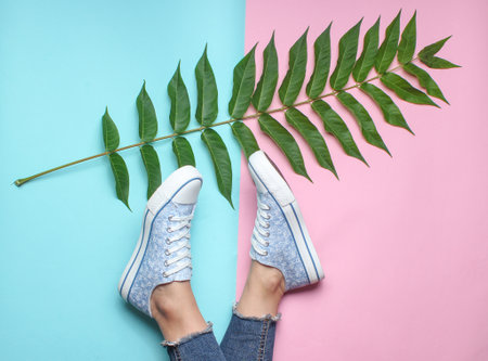 Women's legs in tight, torn jeans, sneakers, fern leaf on pink blue pastel background. Top view, botanical style, minimalism, copy spaceの写真素材