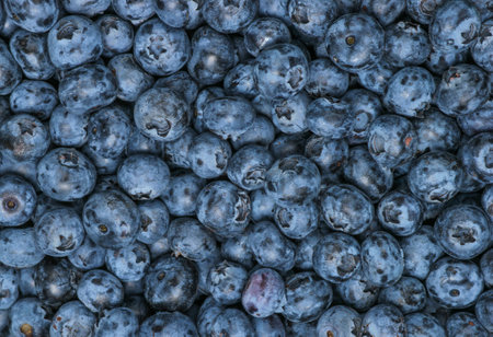 A lot of blueberries, background of berries, top viewの写真素材