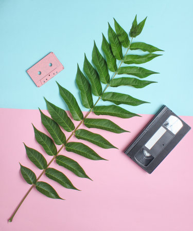 Audio cassette, video cassette, fern leaf on a colored pastel background. Retro media analog technologies, botanical style, top viewの写真素材