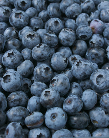 A lot of blueberries, background of berries, top viewの写真素材