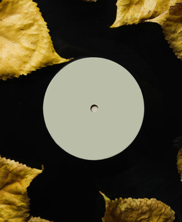 Vinyl plate strewn with fallen leaves
