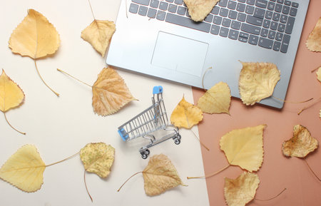 A modern laptop, a miniature shopping cart for fallen yellow leaves on a colored paper background. Autumn purchases. On-line purchases. Top Viewの写真素材