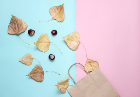 Paper bag for shopping, fallen autumn leaves, chestnuts on blue pink background. Autumn shopping, sale, Top view, minimalismの写真素材