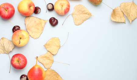 Autumn still life top view. Apples, pears, fallen leaves, chestnuts on a gray background. Copy...