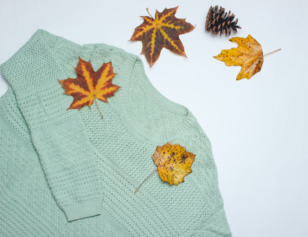 Autumn winter collection. Sweater, fallen leaves, pin cone on a white background. Top viewの写真素材