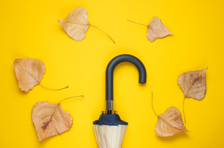Fragment of umbrella hook and fallen leaves on yellow background. Top view. Autumn accessories
