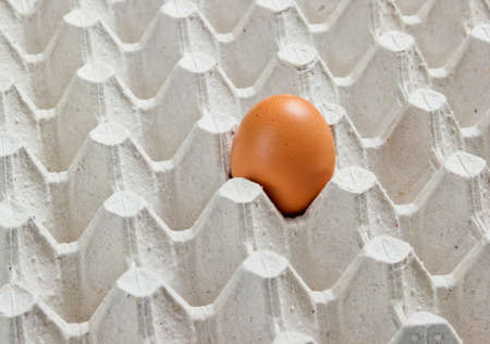 Tray with one egg close up.の写真素材
