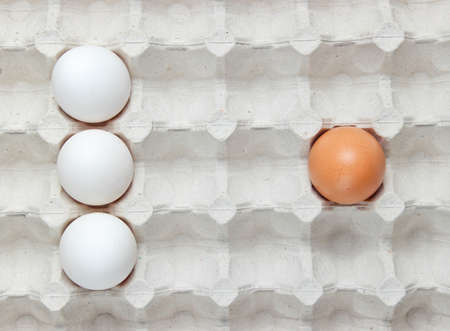 Tray of eggs close up. Top view