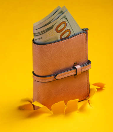 Leather pink purse with hundred dollar bills through torn holeon yellow background withの写真素材