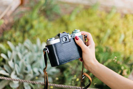 Woman hand with retro camera  photographs exotic plant in a garden outdoor