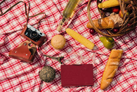 French retro style picnic. Basket with fruit, baguette, book, retro camera on a checkered red tablecloth outdoorsの写真素材