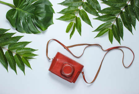 Retro camera in a leather case with a strap among green tropical leaves on a white background. Top viewの写真素材