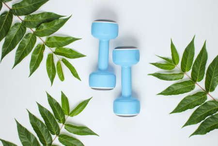 Creative fitness background. Plastic blue dumbbells on white background with green leaves. Sport...