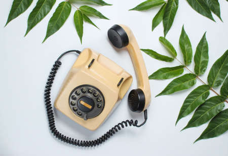 Retro style background. Rotary phone among tropical green leaves on white background. Top view