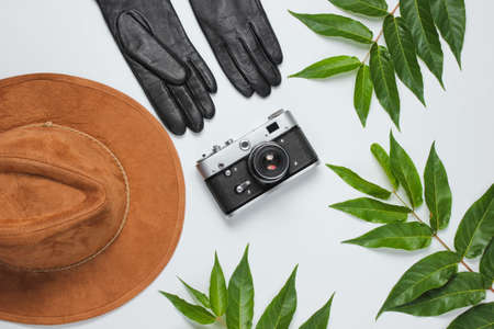 Autumn travel. Woman's accessories, retro camera on white background with green leaves. Felt hat, leather gloves. Top viewの写真素材